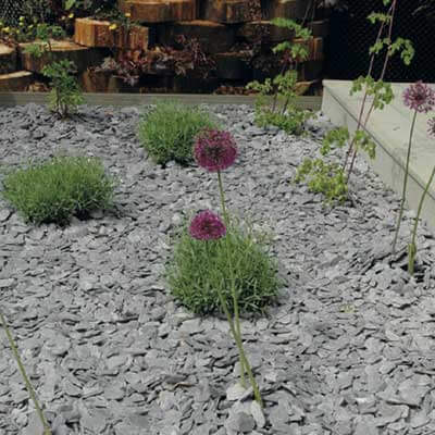 Plum Slate 40mm