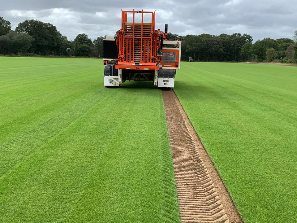 Supreme Turf and Soils project gallery image 1