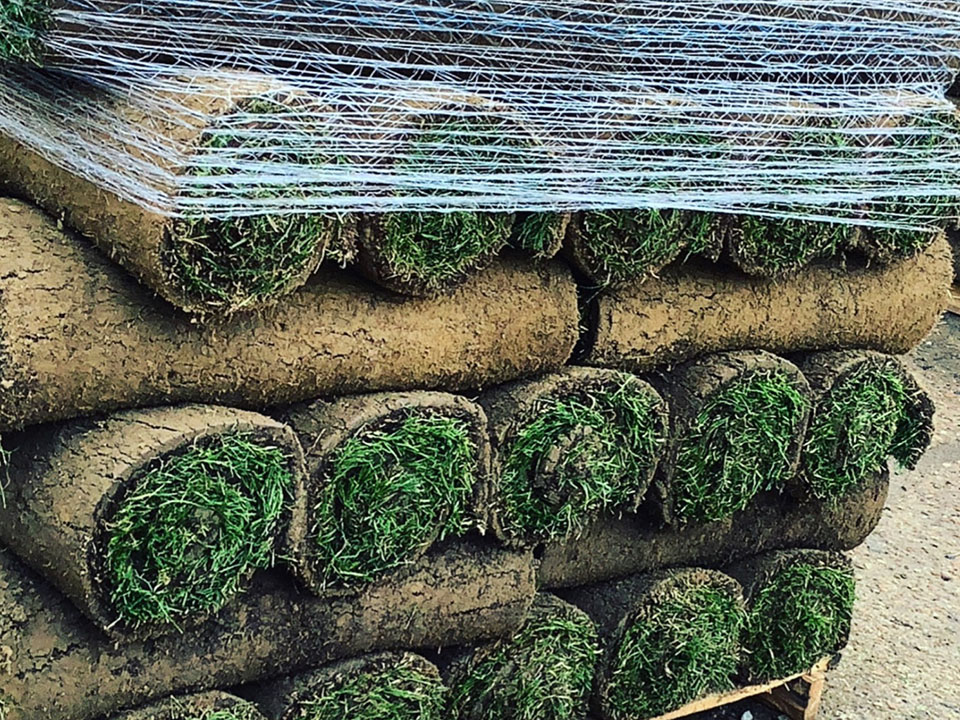 Supreme Turf and Soils project gallery image 10