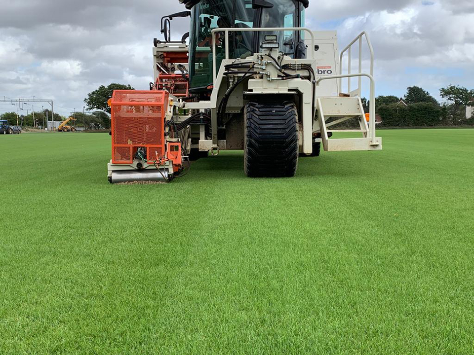 Supreme Turf and Soils project gallery image 4