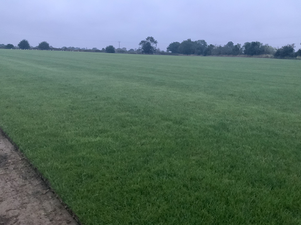 Supreme Turf and Soils project gallery image 7