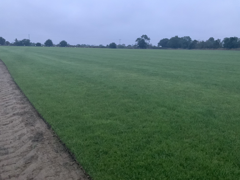 Supreme Turf and Soils project gallery image 8