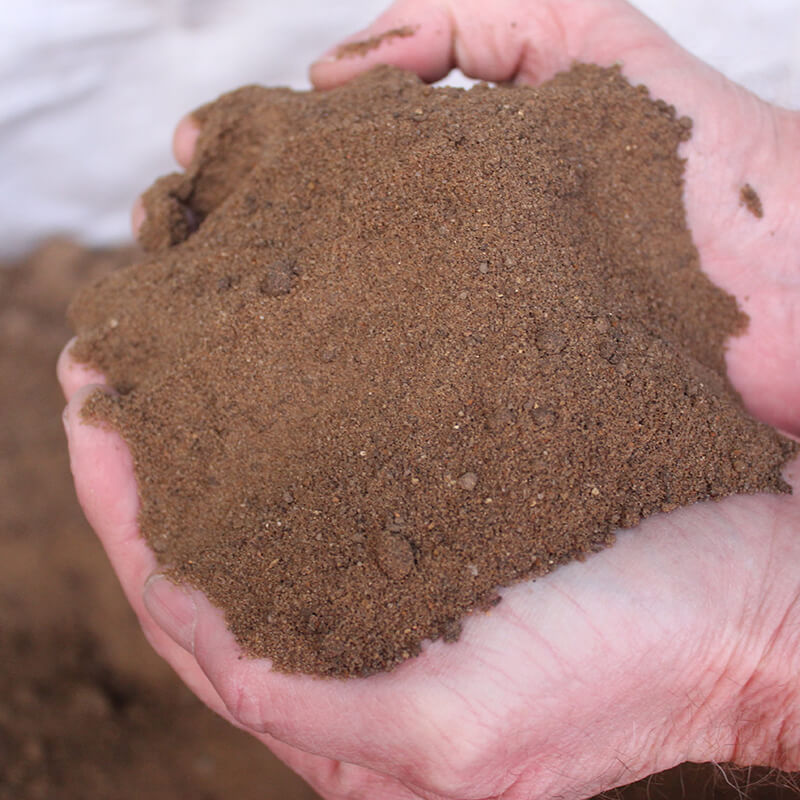 Sports turf top soil