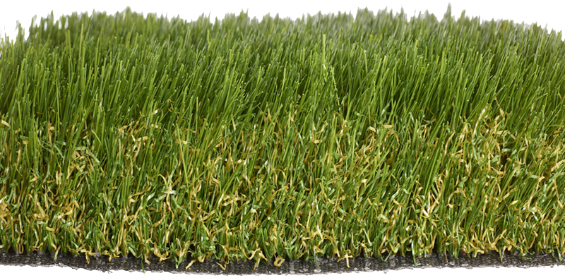 Clumber Artificial Grass