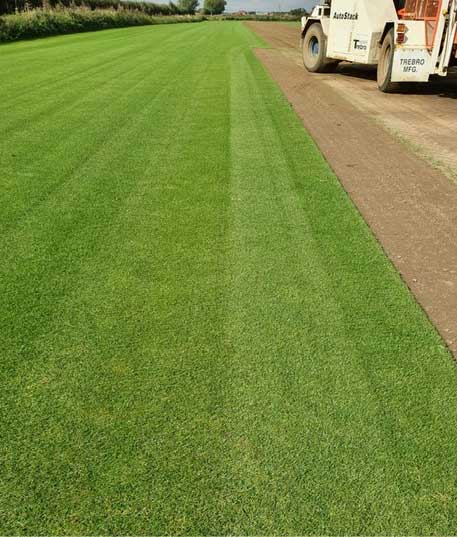 Local Turf Suppliers